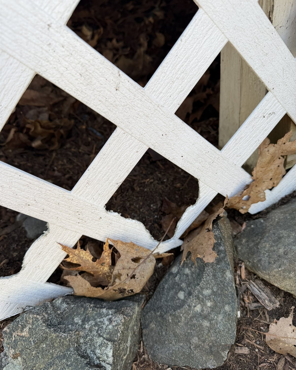 Broken white lattice skirting beneath a deck with stones visible behind.