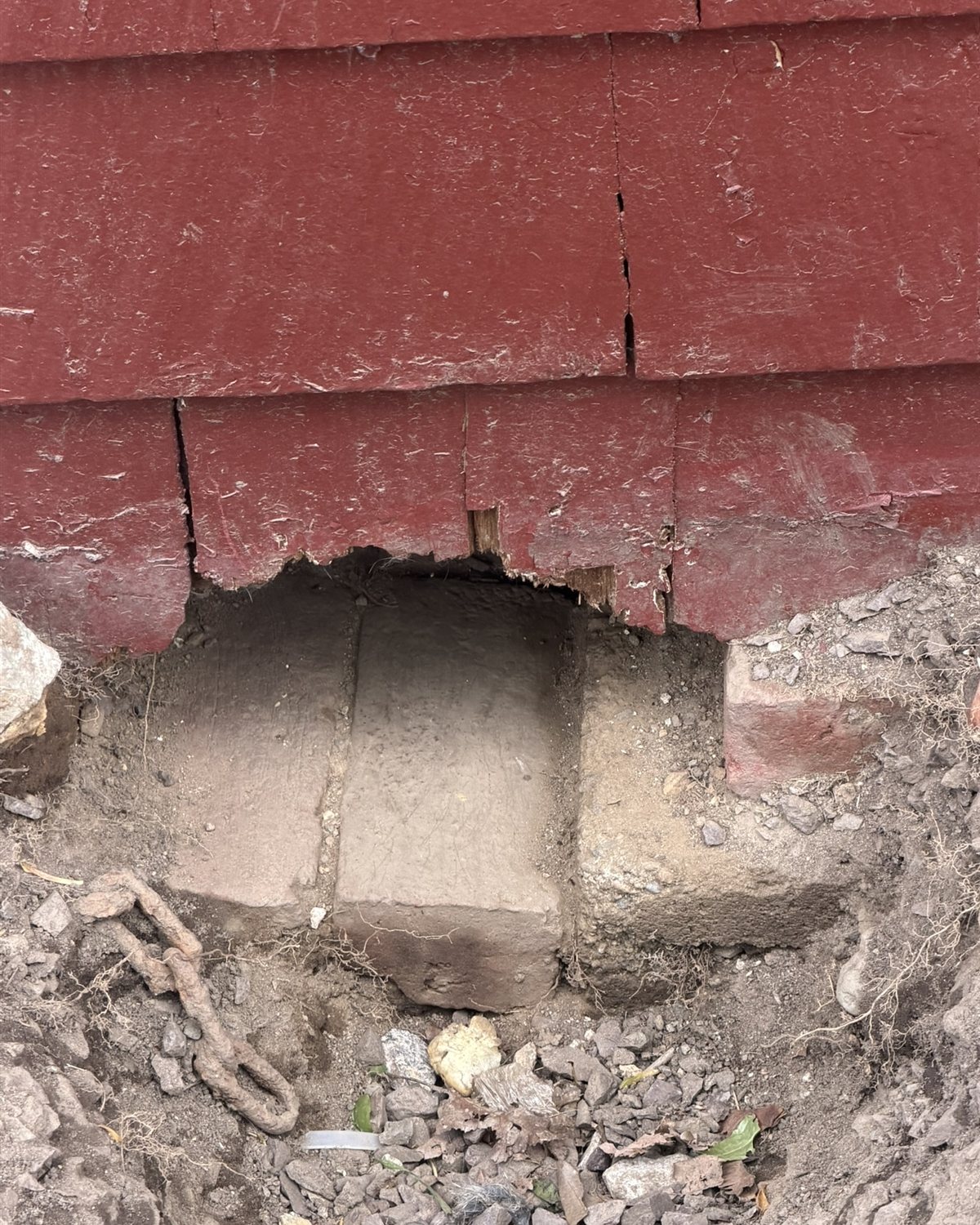 Disturbed soil and chewed siding at the base of a red clapboard house.