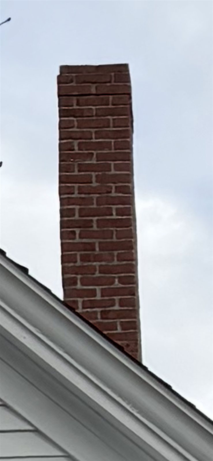 Open uncapped brick chimney exposed to weather and wildlife entry.