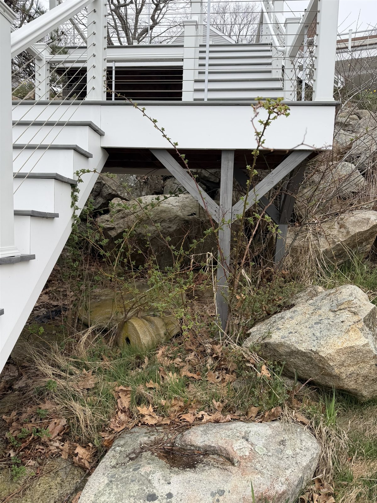 Open under-deck space with exposed wood structure and gaps to surrounding rocks, before exclusion.