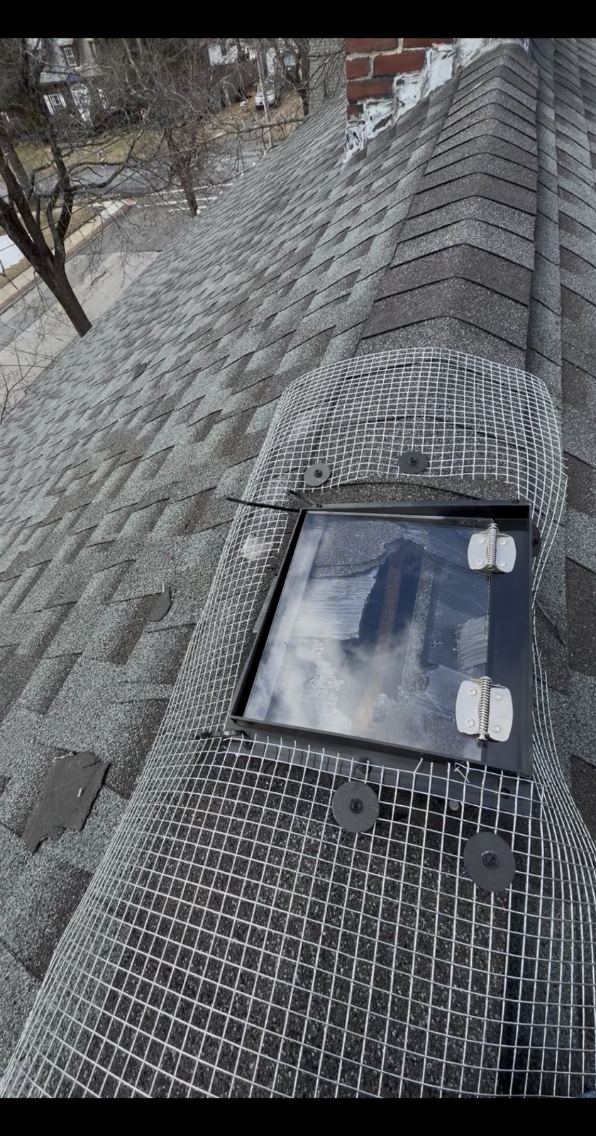 One-way exit door framed by welded galvanized mesh installed over the damaged ridge cap.